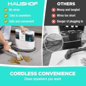 Here is the generated SEO meta description:

"Quickly remove pet stains and dirt from carpets and upholstery with HAUSHOF's cordless StainZapper, featuring 24V power and lightweight design. Perfect for deep cleaning car seats, couches, and more."