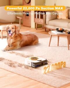 Here is the optimized SEO meta description:

"Discover a pet-friendly home with Cyclone's robot vacuum cleaner, featuring 22000 Pa suction, LiDAR navigation and Wi-Fi/App control for effortless cleaning."
