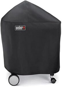 Discover the Deluxe Case for BBQ Performer Original, a premium storage solution with durable construction and secure locking mechanism. Perfect for protecting your grill accessories and tools.