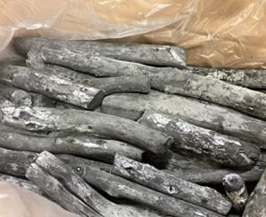 Experience authentic Japanese flavor with Bincho Grill Binchotan Charcoal, perfect for high-grade Yakitori cooking. Enjoy 11lbs of premium hardwood charcoal in each bag, ideal for BBQ enthusiasts.