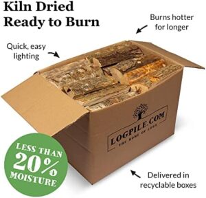 Here is the generated SEO meta description:

"Upgrade your pizza party with premium kiln dried wood for pizza ovens, burners and fire pits. Long burning, quick lighting and sustainably sourced logs. Perfect for outdoor kitchens and gatherings."