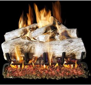 Here is the output:

"Add warmth to your room with Peterson Real Fyre 18-inch Mountain Birch Gas Logs, a realistic alternative to traditional logs. Perfect for fireplaces and chimineas."