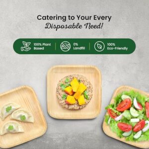 Discover eco-friendly meals with ECO Leaf 1000 Disposable Square Palm Leaf Plates. Biodegradable & compostable, perfect for hot food, desserts, and outdoor events like weddings, picnics, and BBQs. Oven safe, heavy-duty quality for a sustainable dining experience.