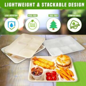 Discover sustainable mealtime solutions with Eland Compostable Plates featuring 5 compartments and heavy-duty design. Perfect for schools, events, and everyday use.